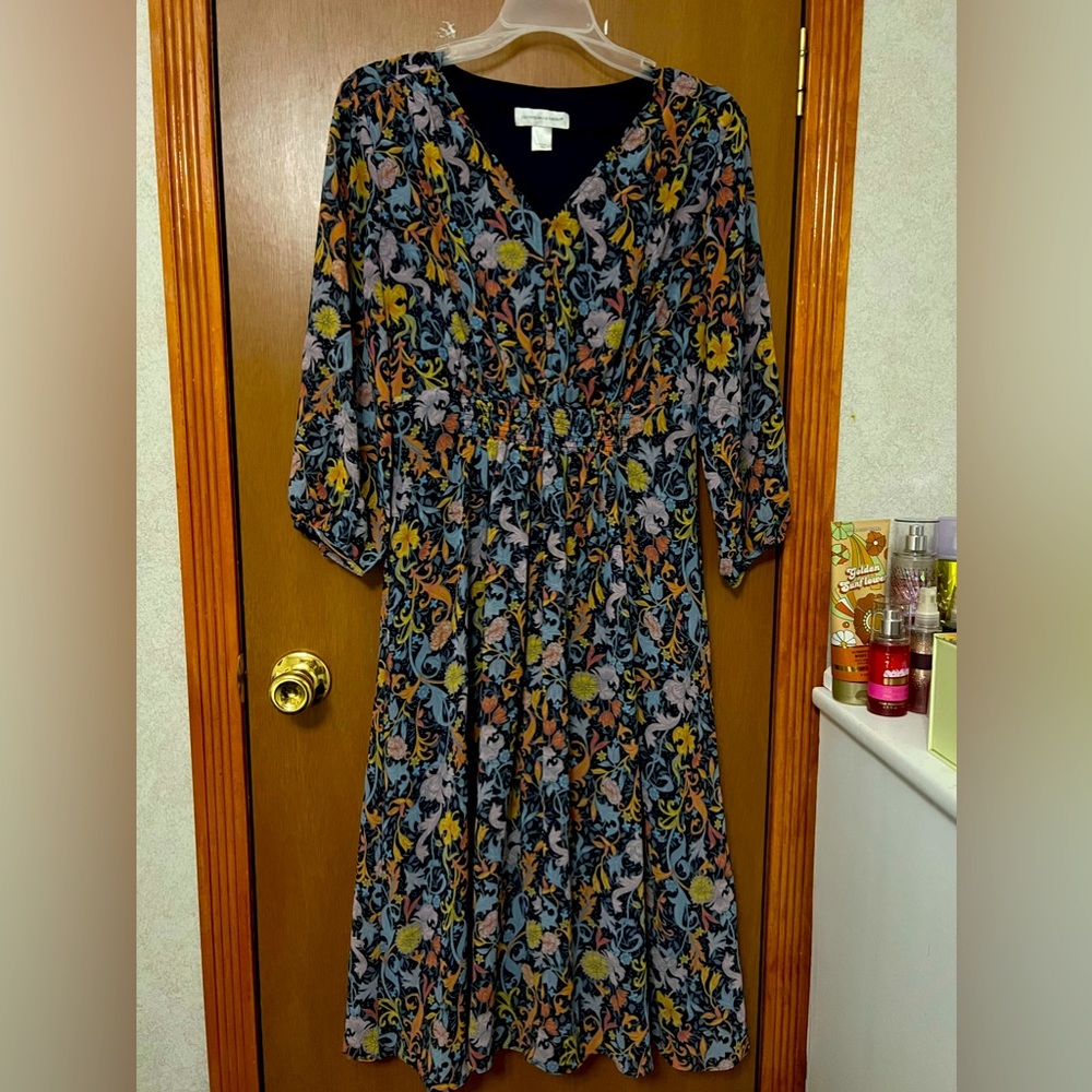 Christopher and Banks Dress